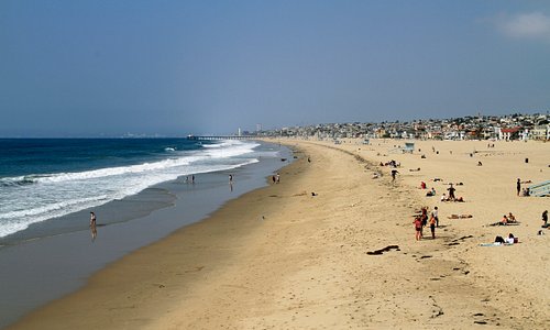 are dogs allowed at hermosa beach