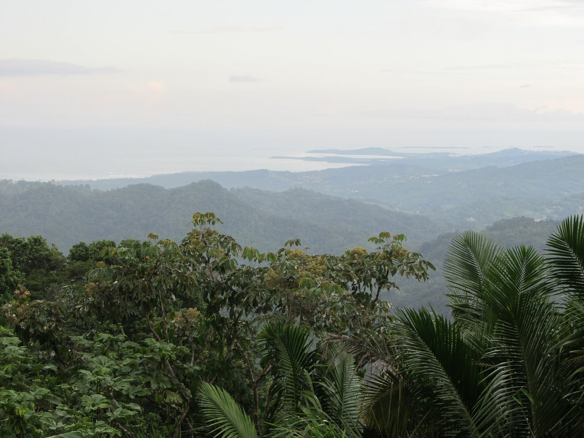 bioisland tour in fajardo