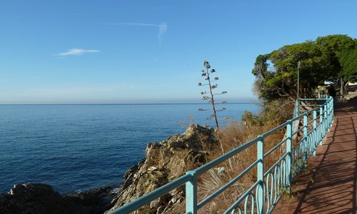 Panorama