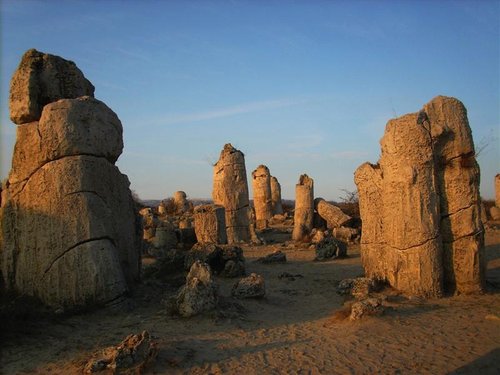 stone forest