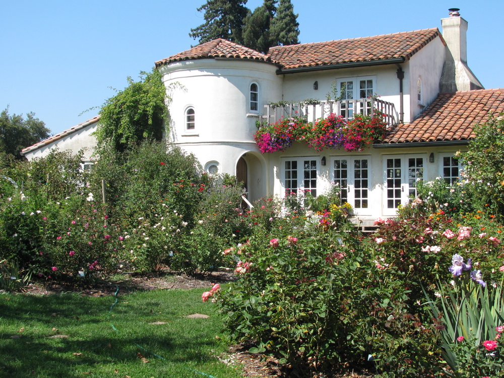 Healdsburg new arrivals jewelry store