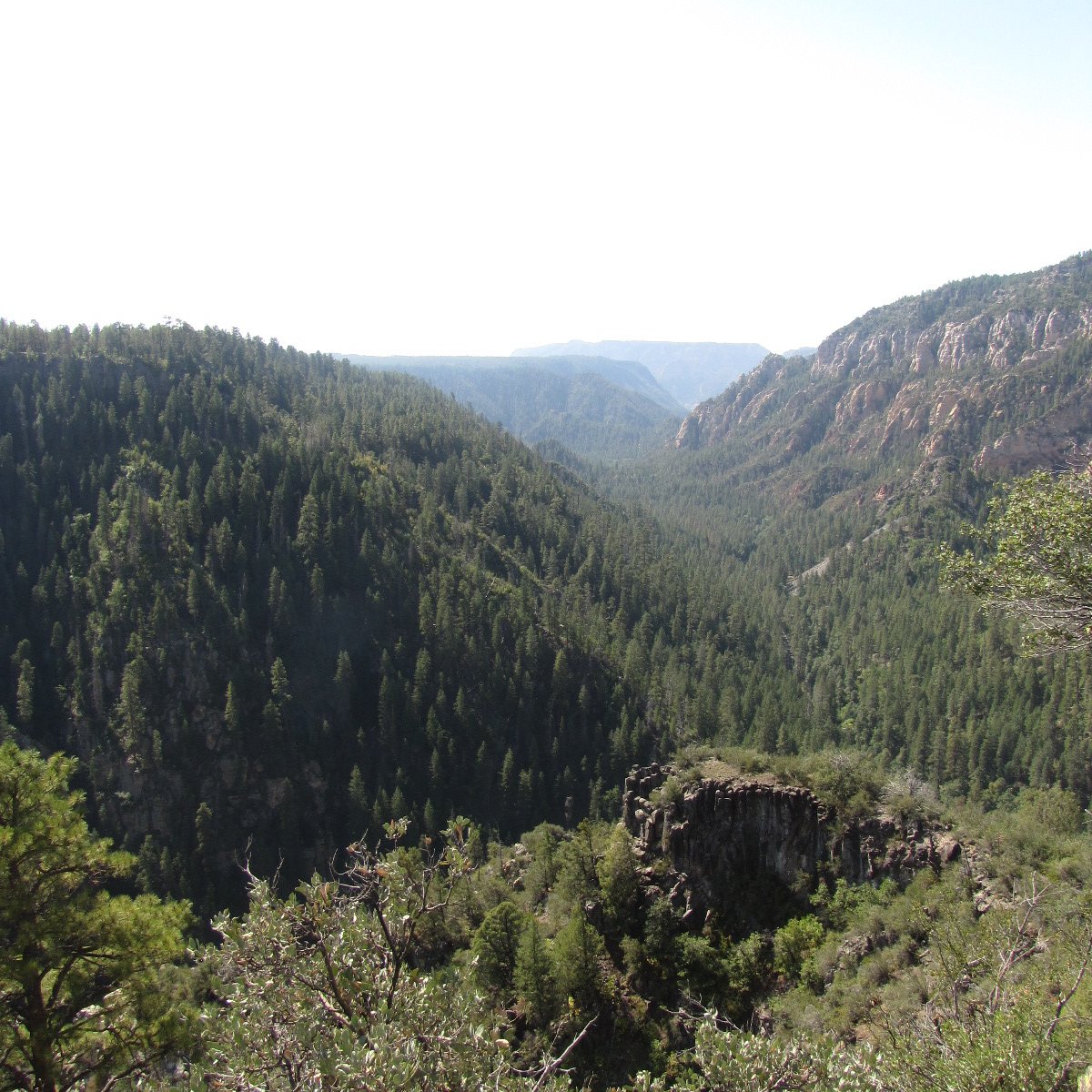 Oak Creek Vista Overlook Sedona Alles Wat U Moet Weten Voordat Je Gaat Met Fotos 5471