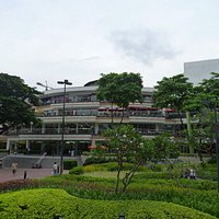 Terrace 1
