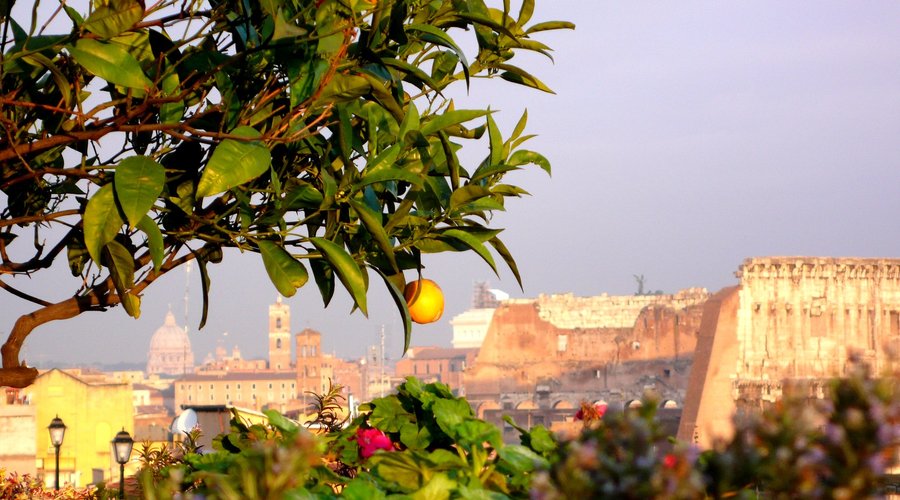 view of the Colosseum from Hotel - Vista Colosseo