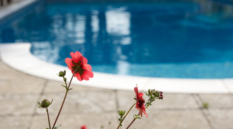 Outdoor heated pool 85F