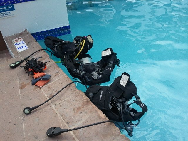 Casa del Mar Scuba Diving - All You Need to Know BEFORE You Go (2024)