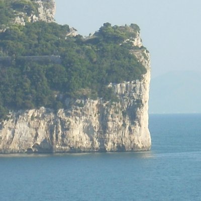 tripadvisor