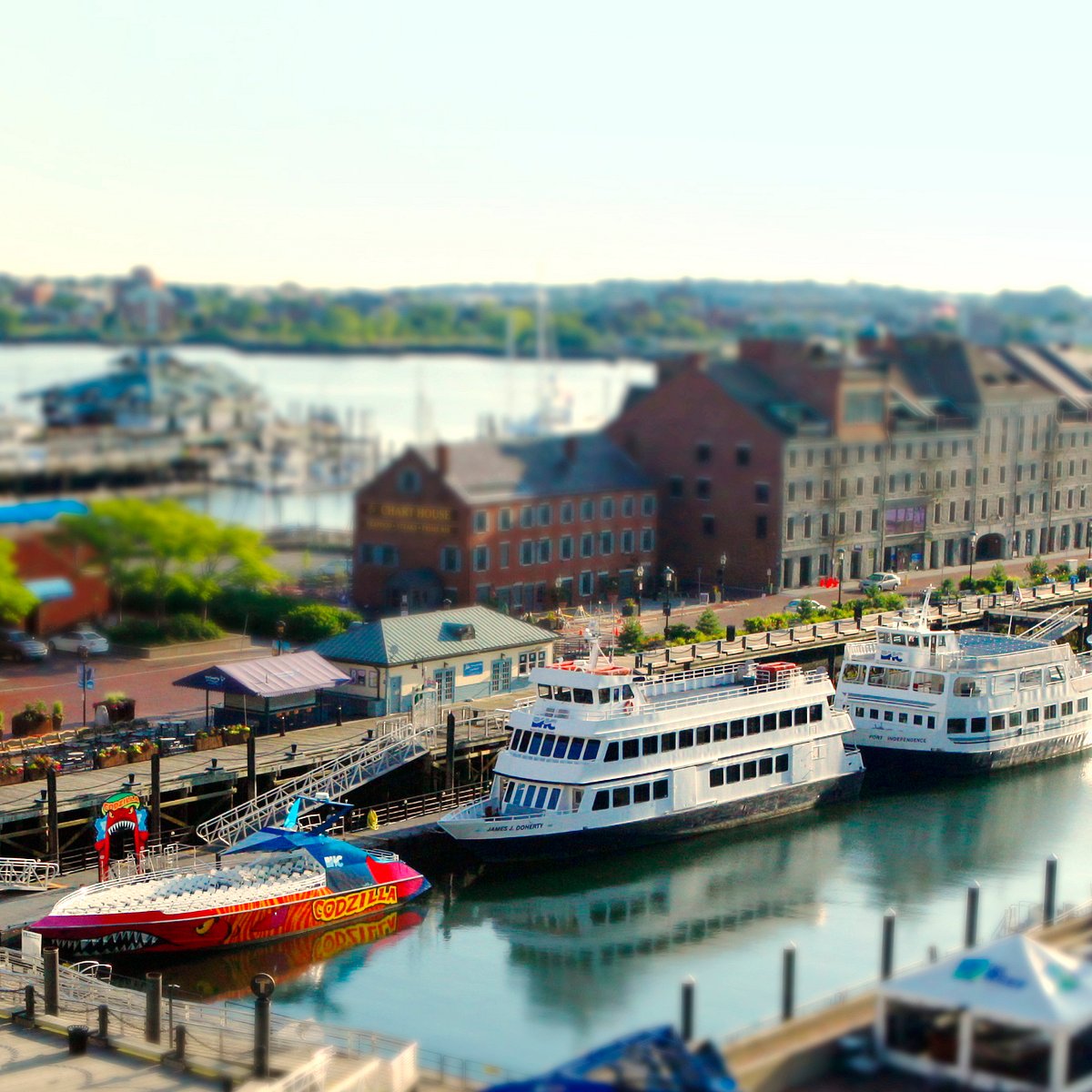boston harbor city cruises about
