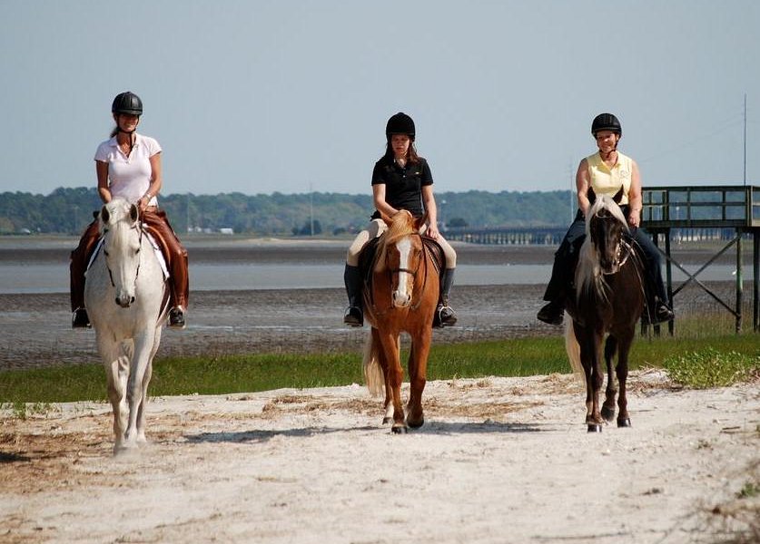 Camelot Farms Equestian Center image