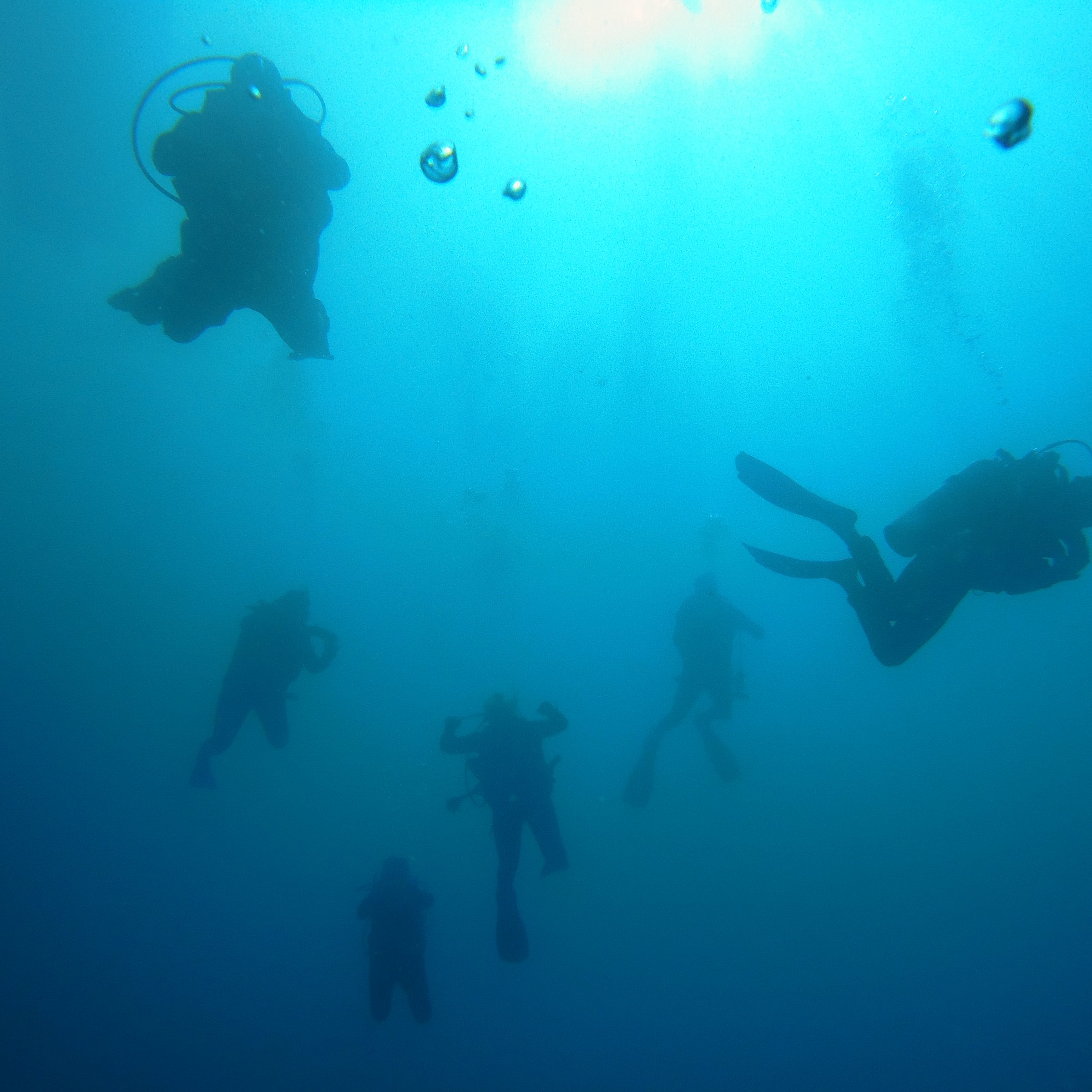 Punta Uva Dive Center (Manzanillo) - All You Need to Know BEFORE You Go