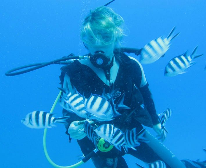 Atlantis International Diving Services image