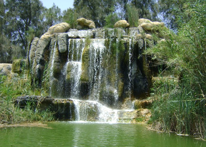 Africa safari park