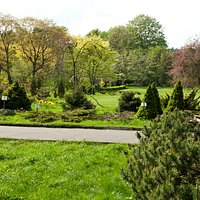Provided by Botanic Garden