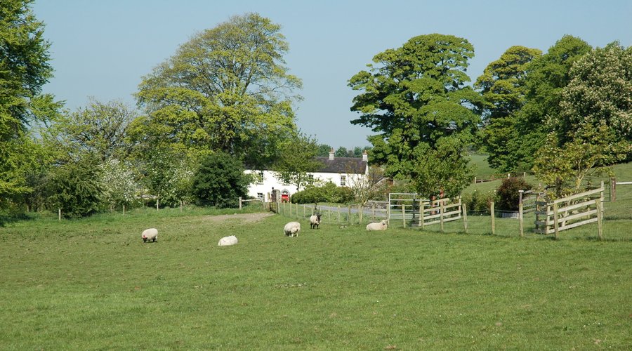 Lough Bishop House