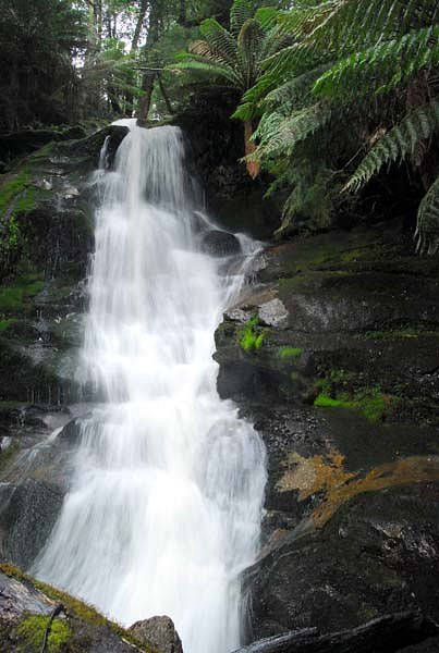 Cuckoo Falls image