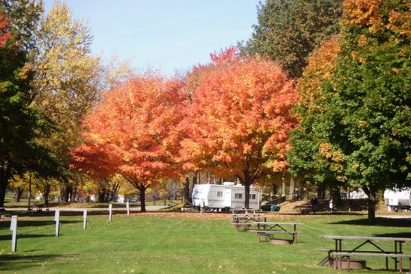 Beautiful Fall Foliage