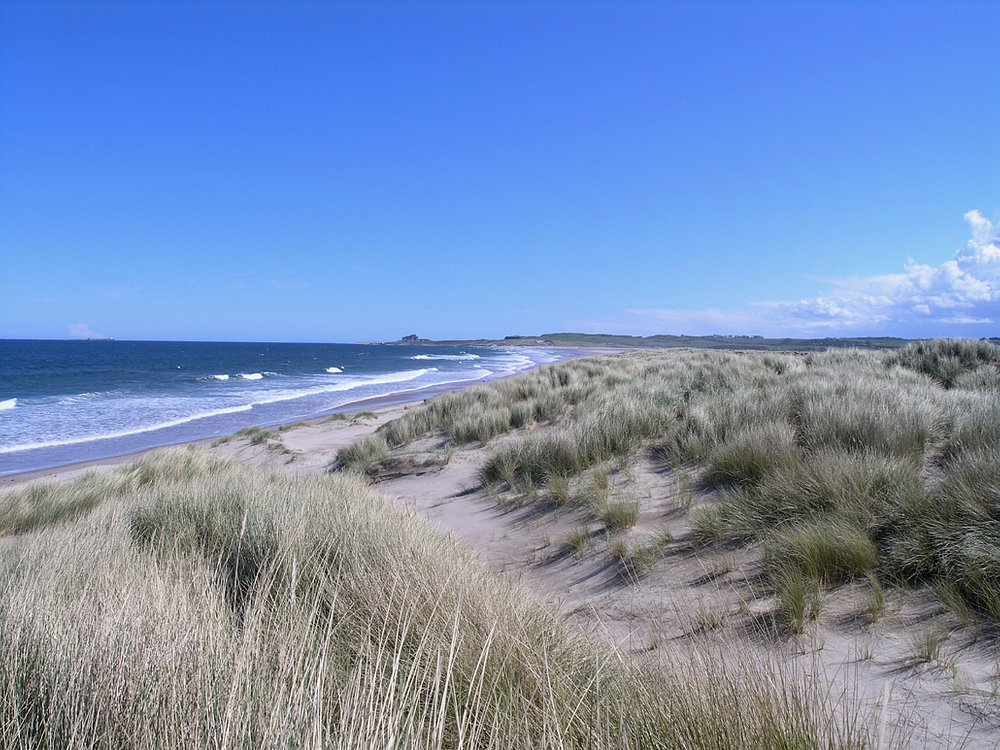 The 10 Best Things to Do in Bamburgh - 2024 (with Photos)