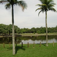 Lago do bosque