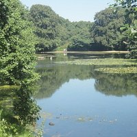 Il parco di Wimbledon