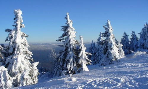 ARBERLAND