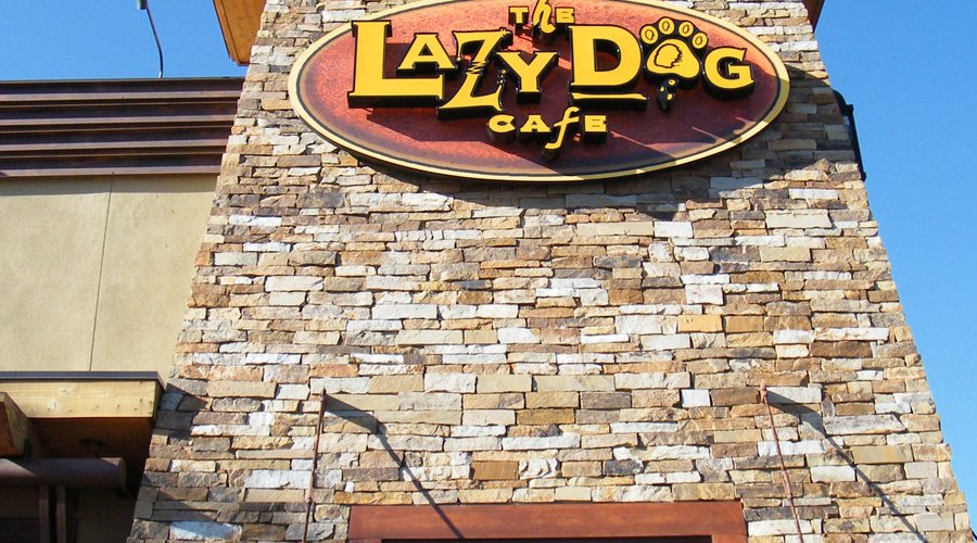 el restaurante lazy dog es una franquicia