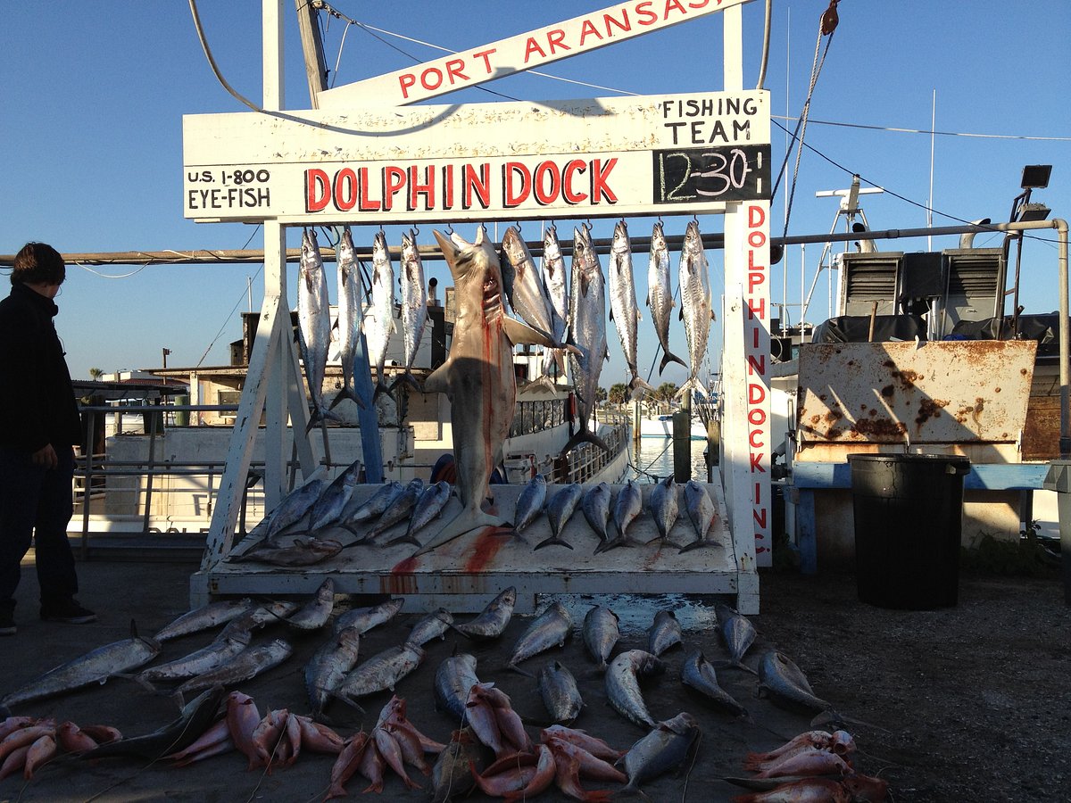 Statewater Fishing - Dolphin Docks