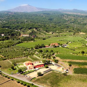 Tenuta Scilio vineyards and Agriturismo view