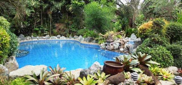 Several swimming pools to choose from.
