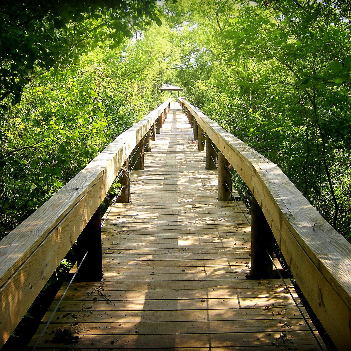 Fort Worth Nature Center & Refuge All You Need to Know BEFORE You Go