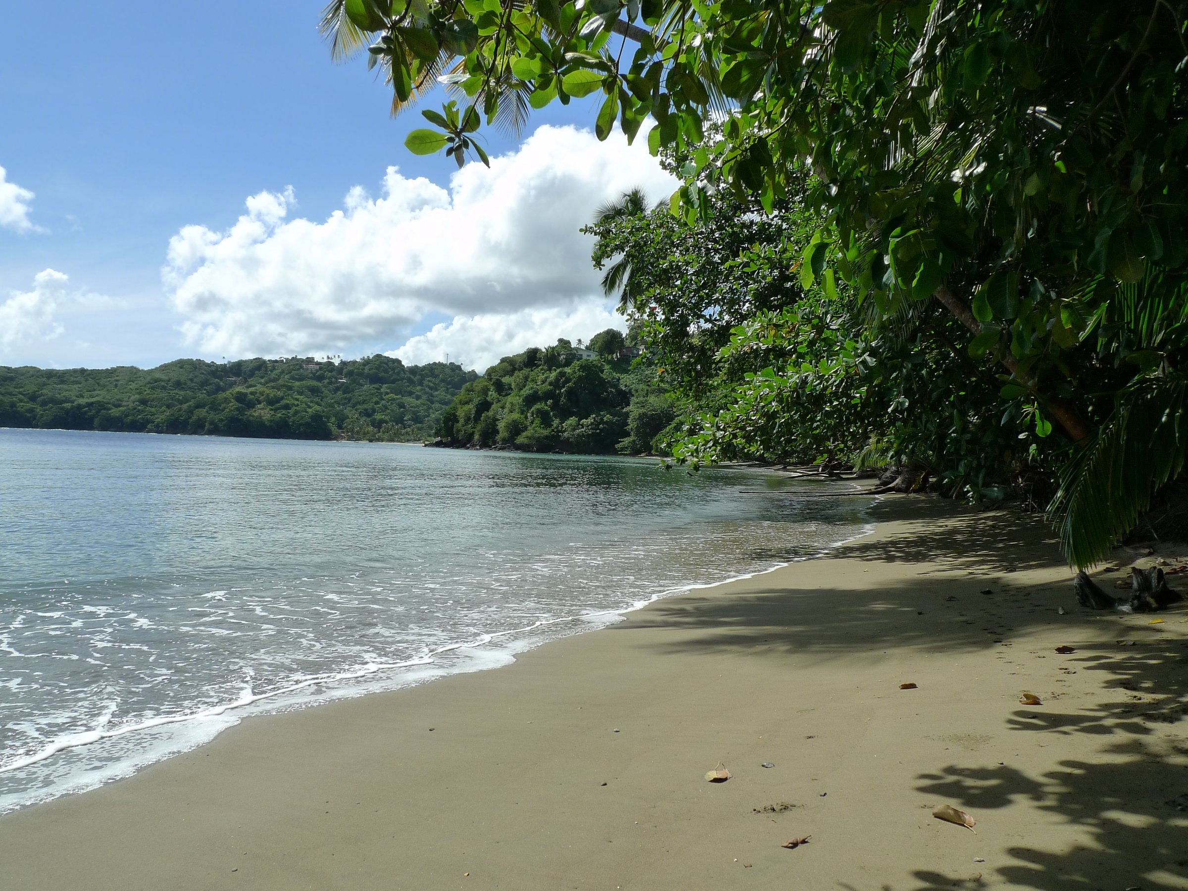 Kennedy Island Tours (Tobago) - All You Need to Know BEFORE You Go