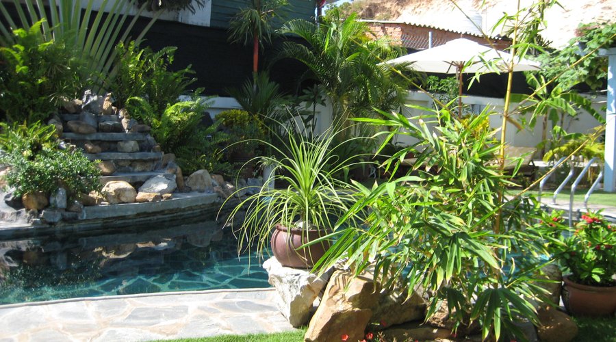 The pool, garden and the waterfall (from one of the sundbeds).