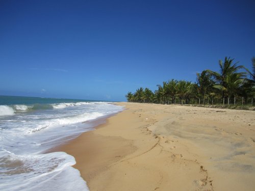 Trancoso 2021: Best of Trancoso, Brazil Tourism - Tripadvisor