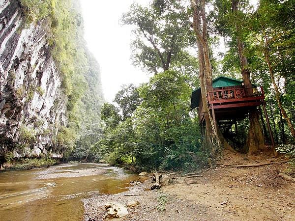 Indvandring gift Børnehave OUR JUNGLE HOUSE $52 ($̶7̶8̶) - Updated 2023 Prices & Hotel Reviews - Khao  Sok National Park, Thailand