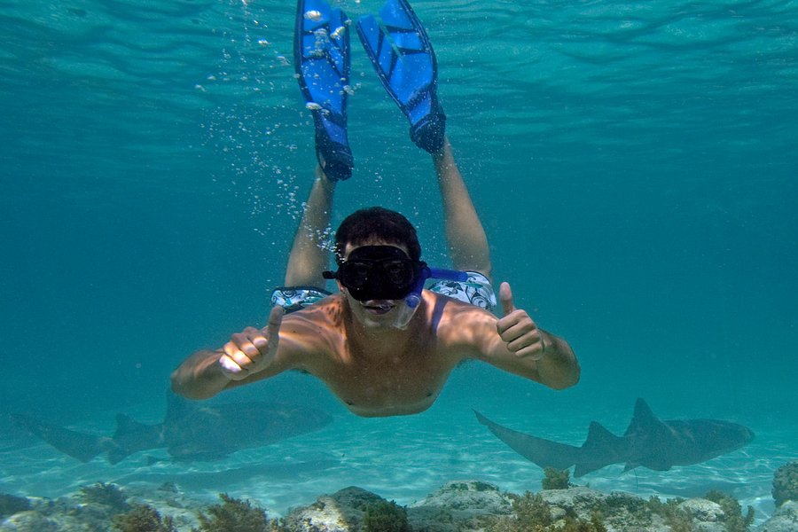 marinarium snorkeling cruise punta cana photos