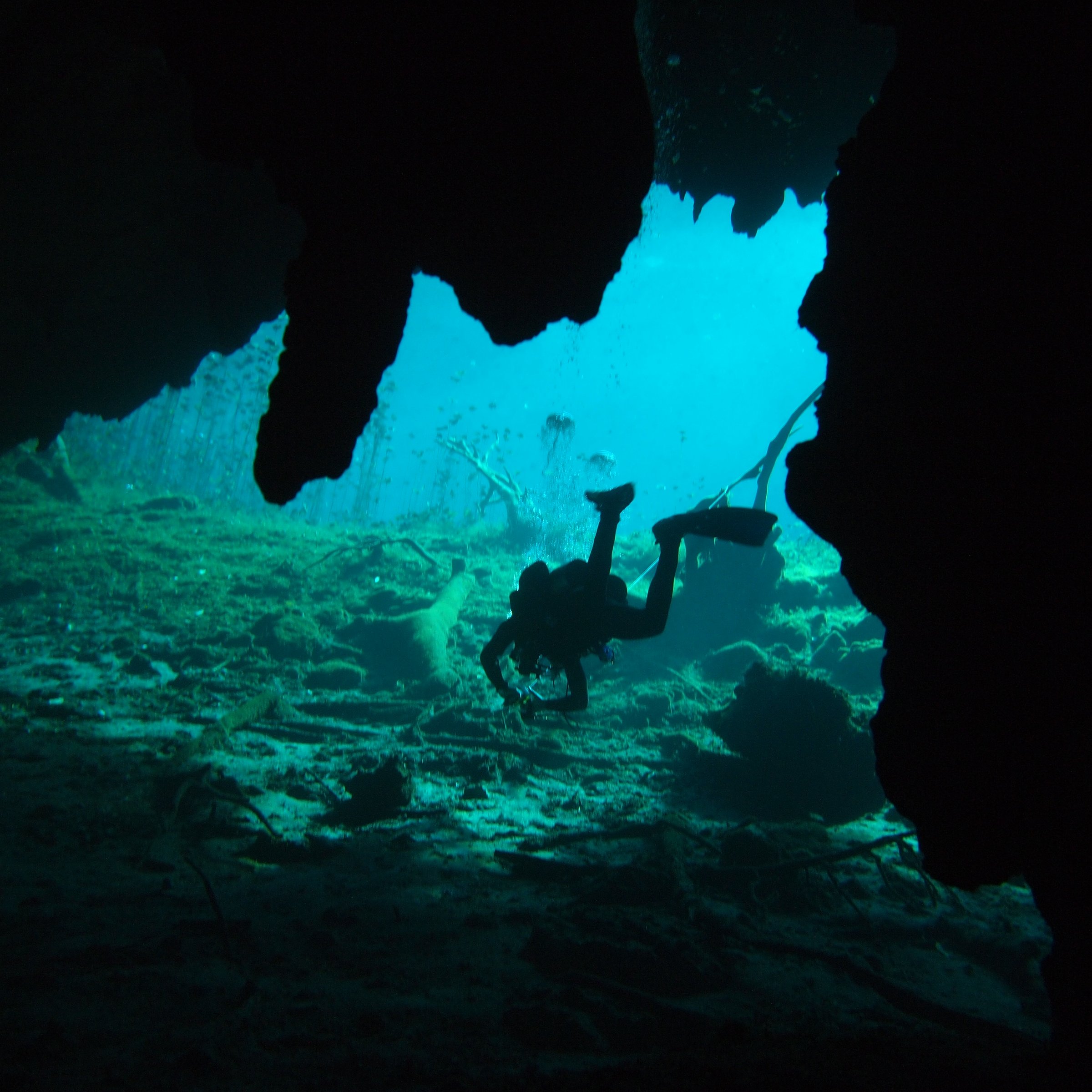 diving in tulum reviews