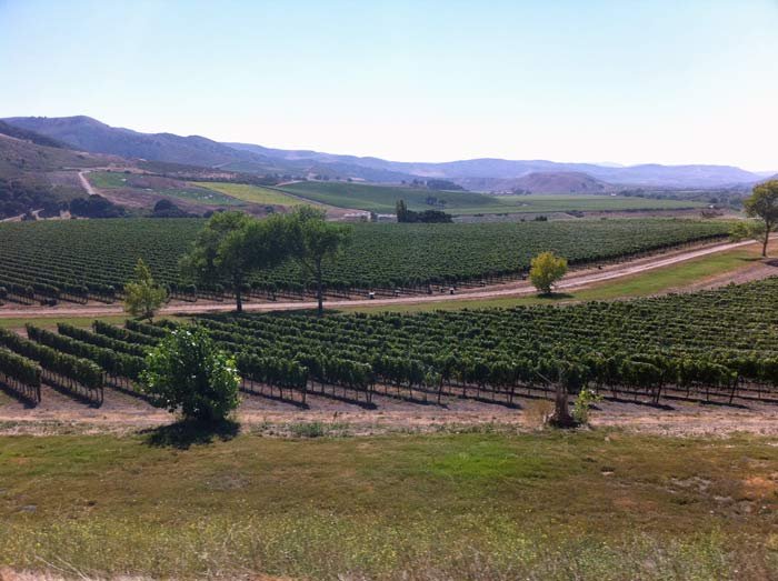 Stagecoach Wine Tours Santa Ynez - All You Need to Know BEFORE You Go ...