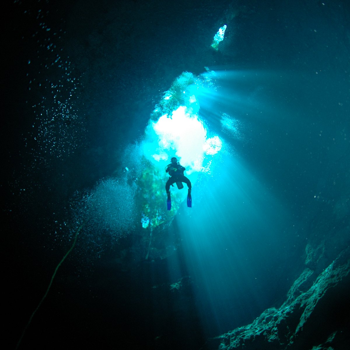 deep life divers cancun