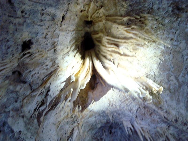 Lower Cave Tour image