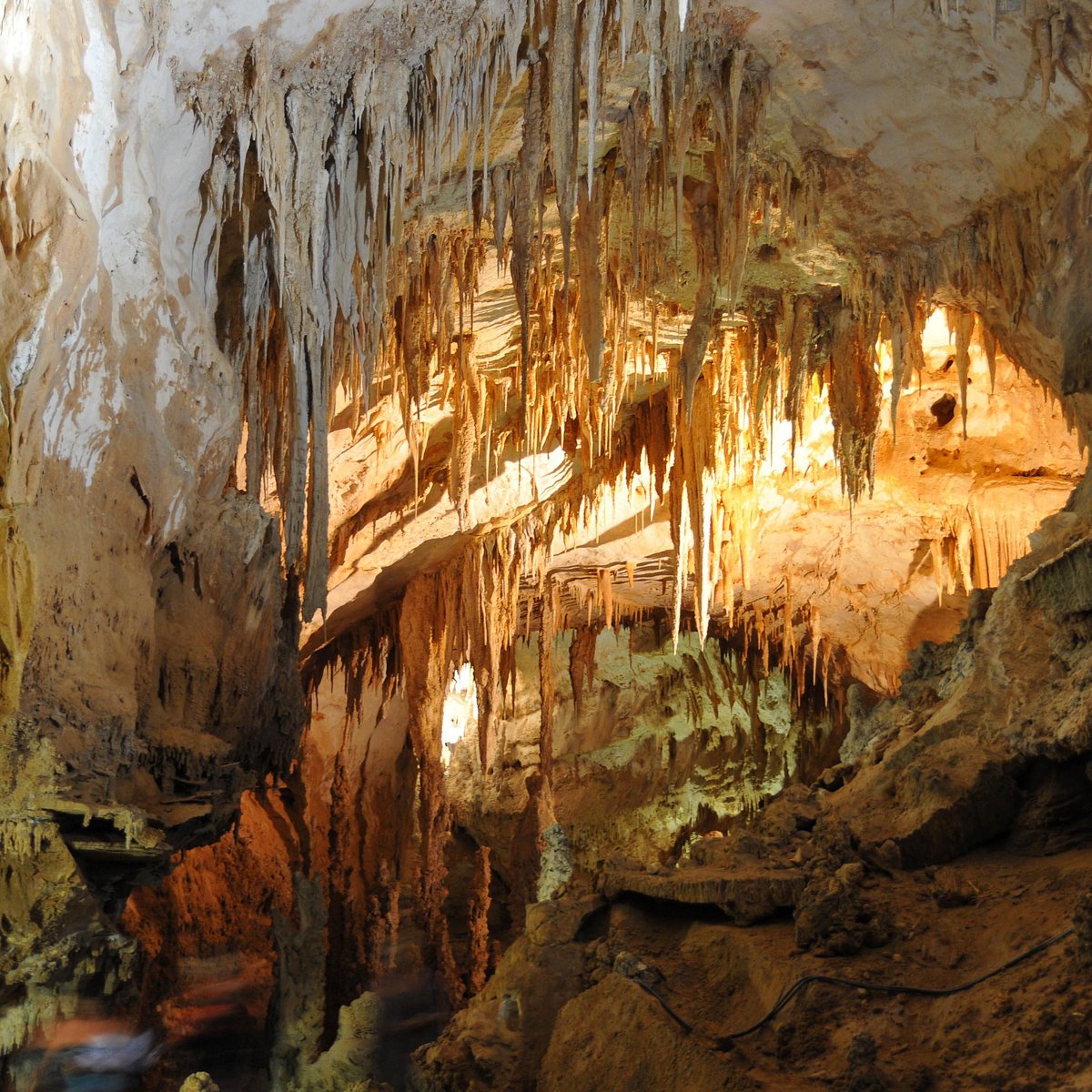 Grotta Del Fico Baunei 21 All You Need To Know Before You Go With Photos Tripadvisor