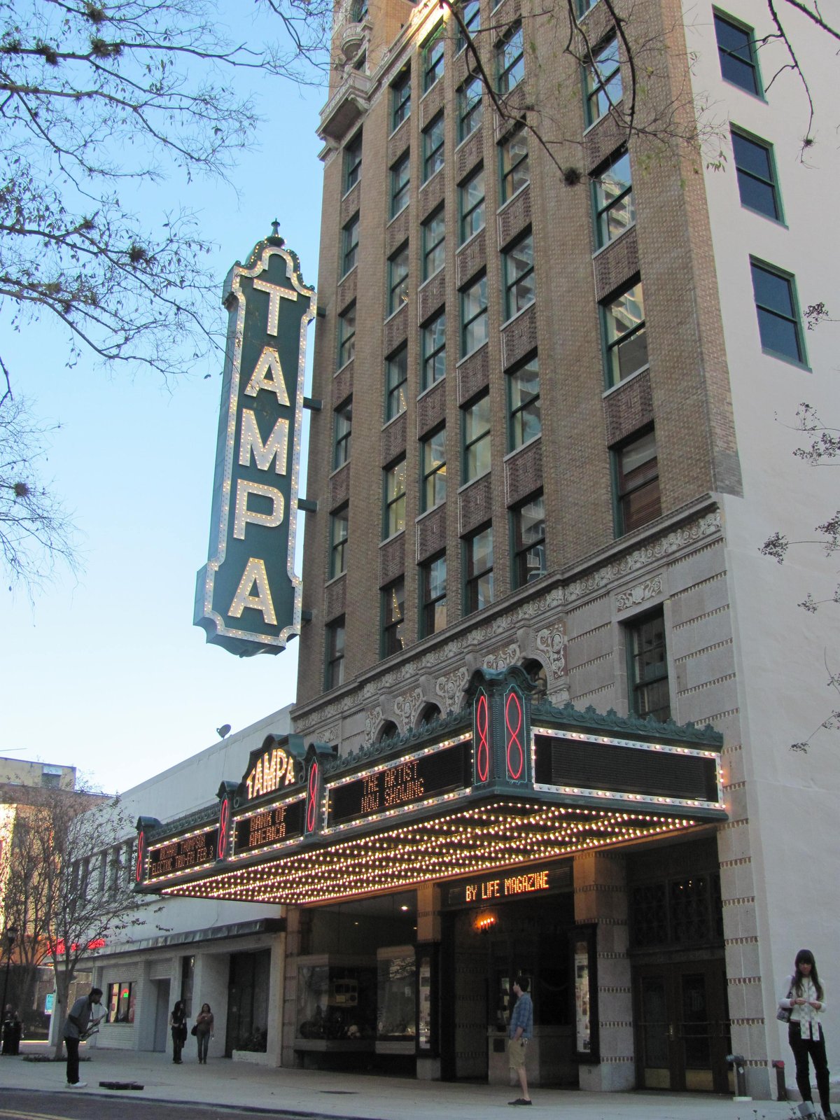 Tampa Theatre Calendar 2024 - Eadie Gusella