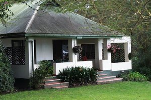 Room & Suite