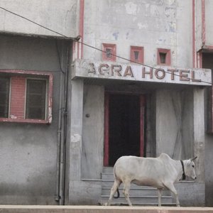 in front of the hotel