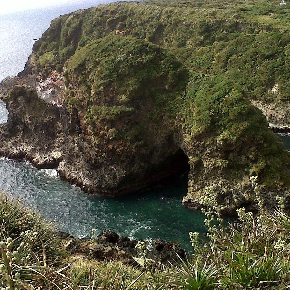 chiloe penguin tour