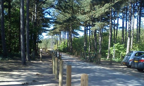 The Nature Resrve