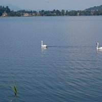 Lago di Monate