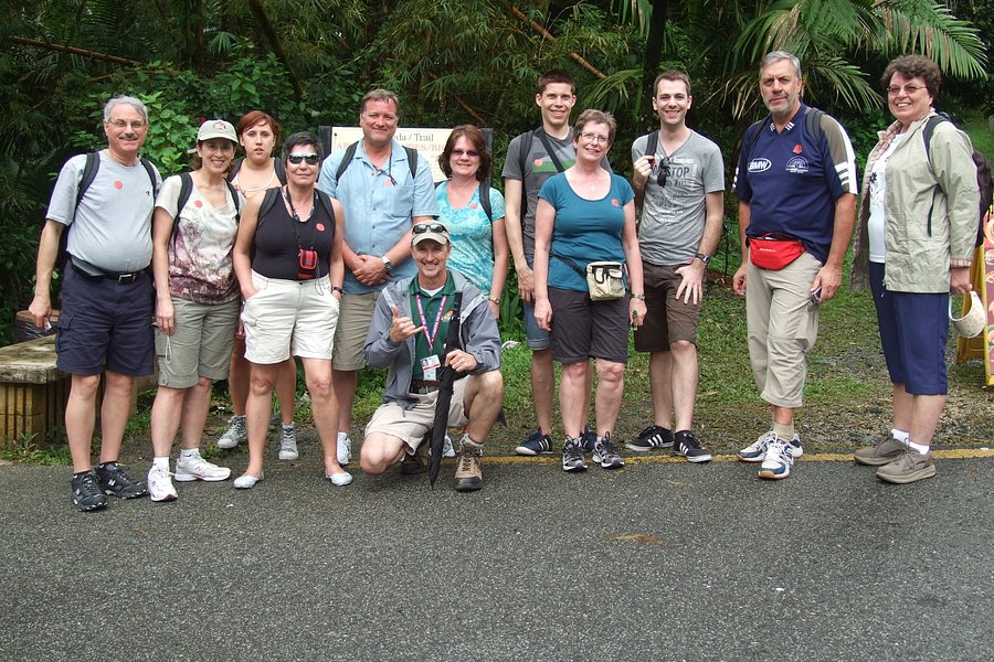 el yunque tours tripadvisor