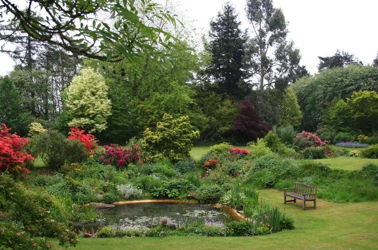 BEECH COURT GARDENS (Challock): All You Need to Know