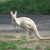 Bundoora Park 4