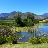 winery vista