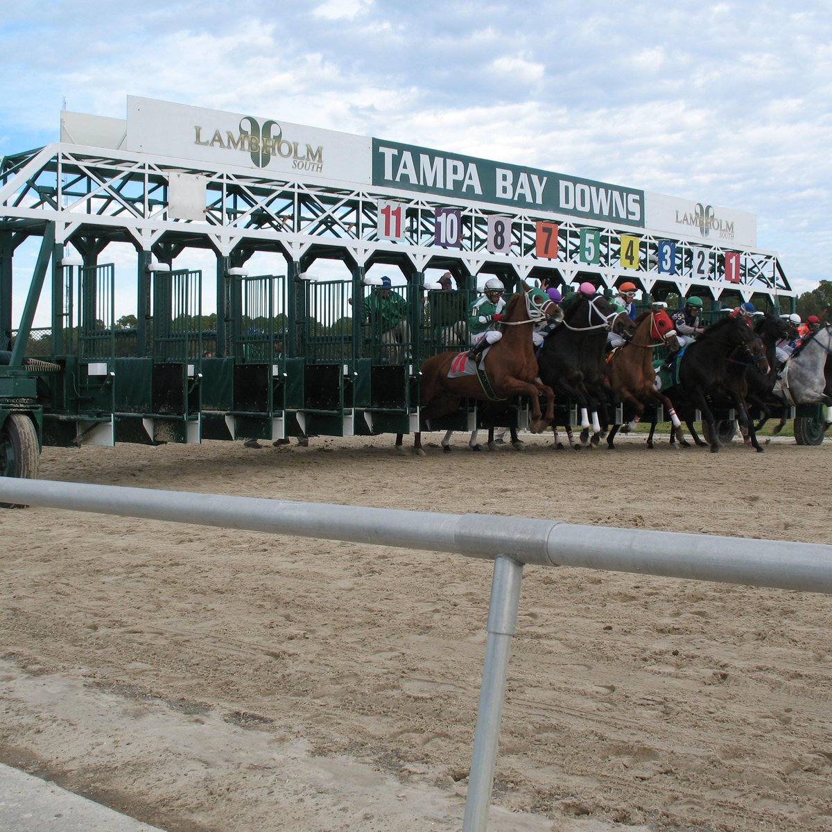 Tampa Bay Downs - 2021 What to Know Before You Go (with Photos) - Tripadvisor